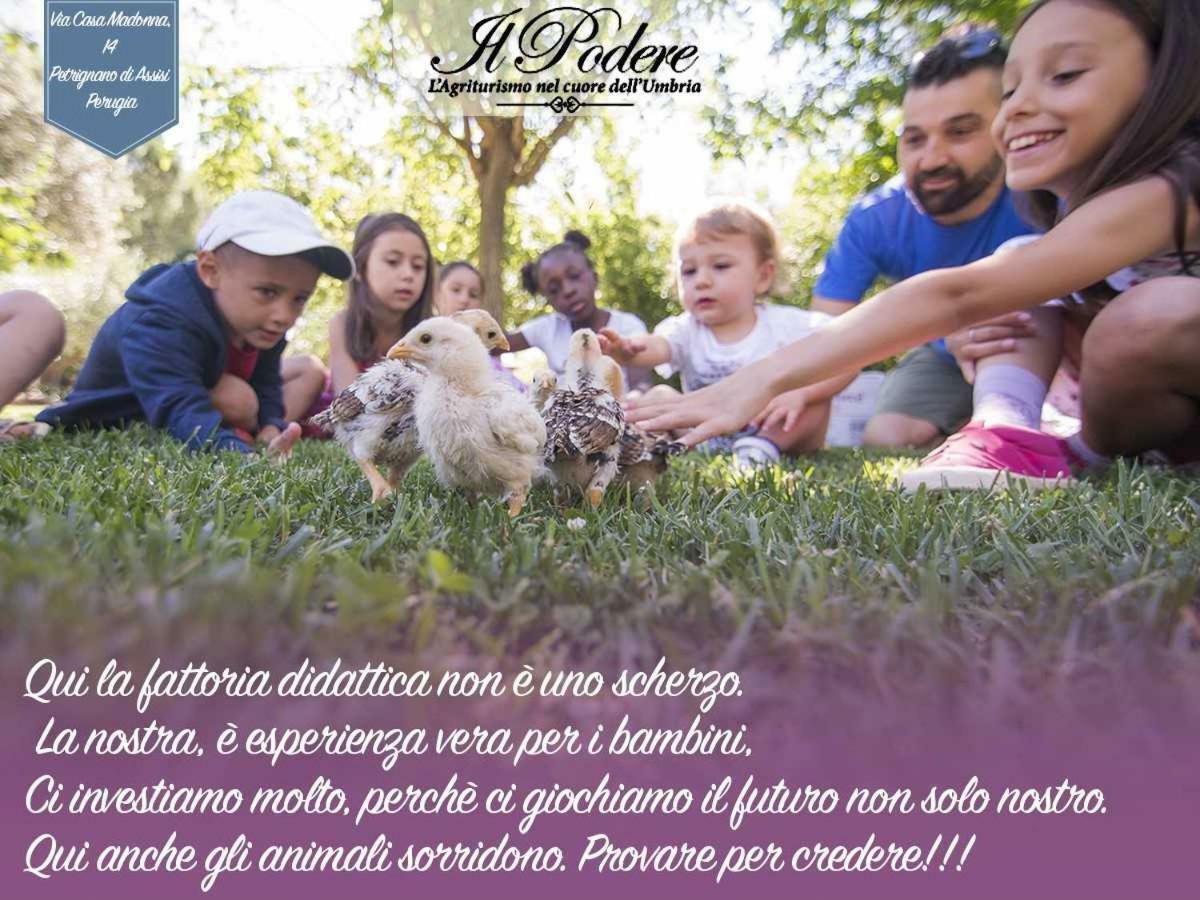 Agriturismo Il Podere Hotel Petrignano Esterno foto