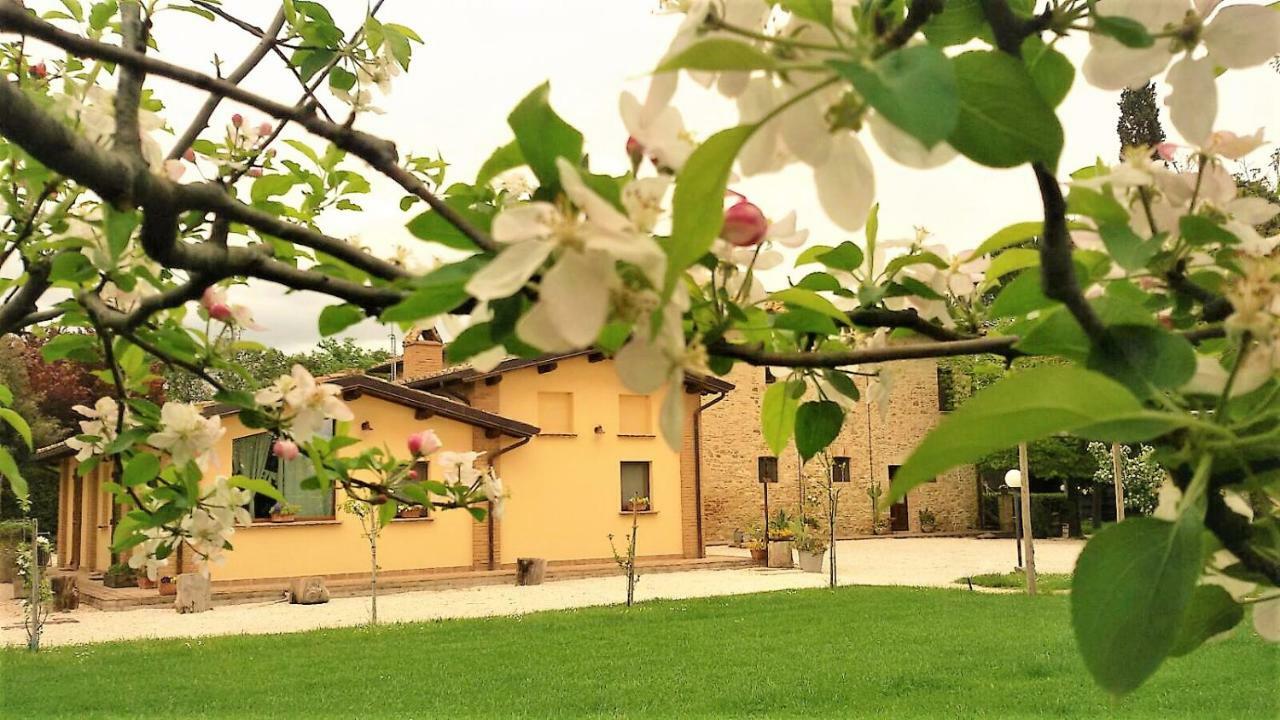 Agriturismo Il Podere Hotel Petrignano Esterno foto