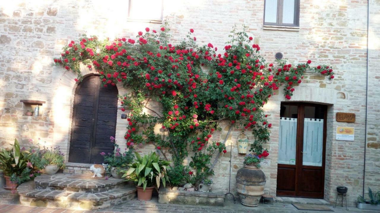 Agriturismo Il Podere Hotel Petrignano Esterno foto